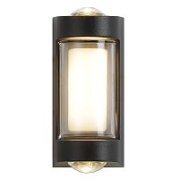 Настенный светильник Escada 30006W/01 LED*4W IP54 Black
