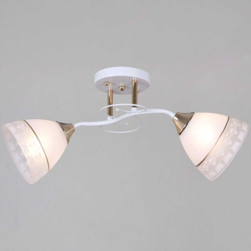 Потолочная люстра Reluce 11460-0.3-02 WH+FG Потолочная люстра Reluce 11460-0.3-02 WH+FG