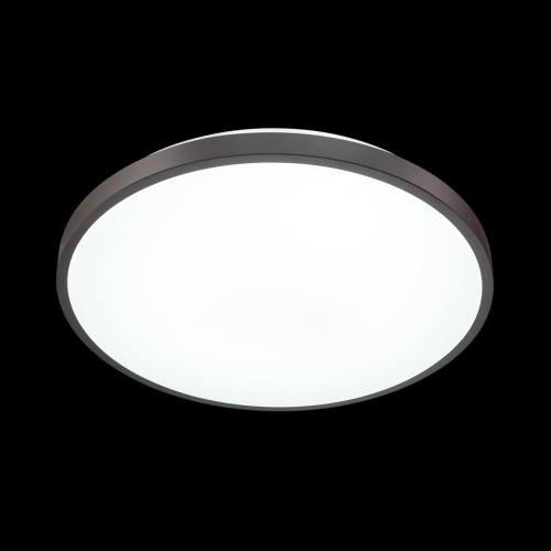 3012/DL TAN SN 000 Светильник пластик/черный LED 48Вт 3000-6300K D380 IP43 пульт ДУ/ LampSmart SMALLI фото 4 3012/DL TAN SN 000 Светильник пластик/черный LED 48Вт 3000-6300K D380 IP43 пульт ДУ/ LampSmart SMALLI фото 4