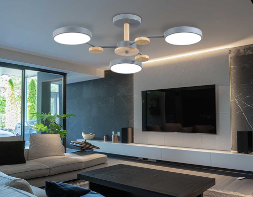 Люстра на штанге Ambrella light COMFORT FL4856 фото 7 Люстра на штанге Ambrella light COMFORT FL4856 фото 7