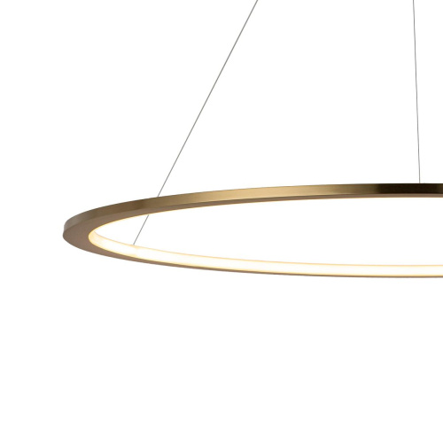 10014XL Подвесной светильник LOFT IT Ring фото 6