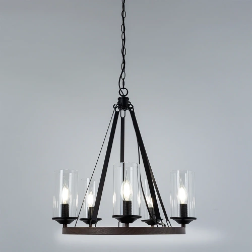 Подвесная люстра Arte Lamp DALIM A7014SP-5BK фото 2