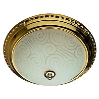 Потолочный светильник Arte Lamp ALTA A3013PL-2GO