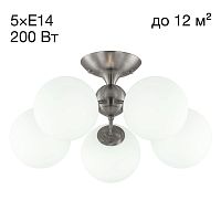 Citilux Томми CL102154 Люстра пятирожковая Матовый Хром
