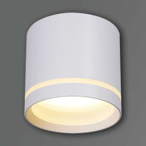 Накладной светильник Reluce 53055-9.5-001UR GX53 WT фото 2