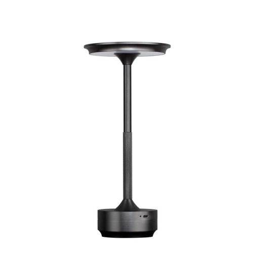 Настольная лампа Odeon Light TET-A-TET 5034/6TL Настольная лампа Odeon Light TET-A-TET 5034/6TL