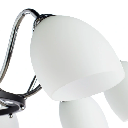 Потолочная люстра Arte Lamp FIORENTINO A7144PL-8BK фото 3 Потолочная люстра Arte Lamp FIORENTINO A7144PL-8BK фото 3
