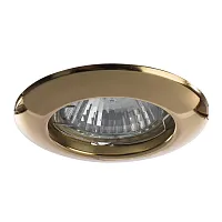 Точечный встраиваемый светильник Arte Lamp PRAKTISCH A1203PL-1GO