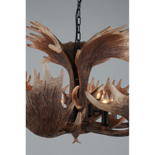 Люстра подвесная OML-52203-12 фото 9 Люстра подвесная OML-52203-12 фото 9