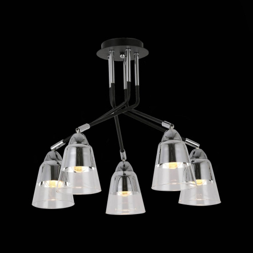 Потолочная люстра Evoluce Lirino SLE102902-05 фото 2 Потолочная люстра Evoluce Lirino SLE102902-05 фото 2