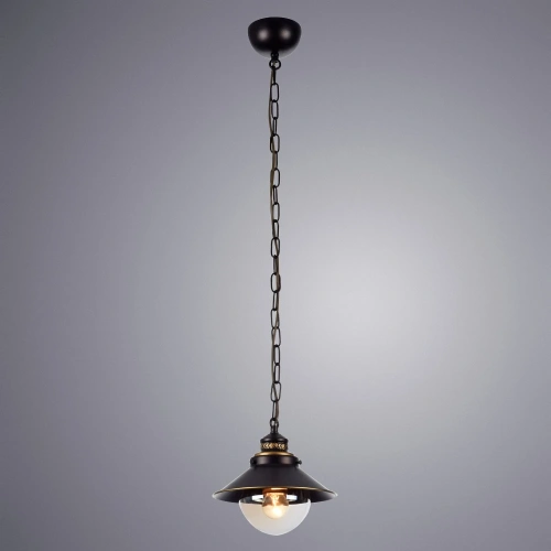 Подвесной светильник Arte Lamp GRAZIOSO A4577SP-1CK фото 2