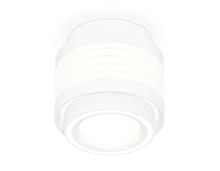 Комплект накладного светильника Ambrella light Techno Spot XS (C8431, N8433) XS8431002