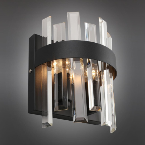 Светильник настенный (Бра) OML-69411-02 фото 3