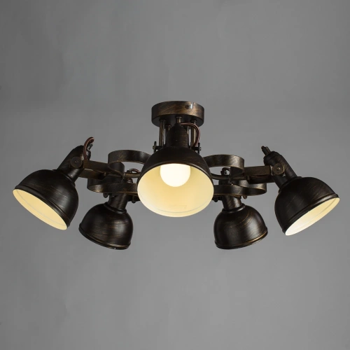 Потолочная люстра Arte Lamp MARTIN A5216PL-5BR фото 2