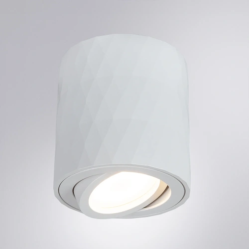 Точечный накладной светильник Arte Lamp FANG A5559PL-1WH фото 2 Точечный накладной светильник Arte Lamp FANG A5559PL-1WH фото 2