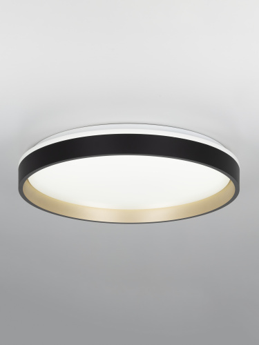 Citilux ENZO CL753451G LED RGB Светильник с пультом Черный + Золото фото 3 Citilux ENZO CL753451G LED RGB Светильник с пультом Черный + Золото фото 3