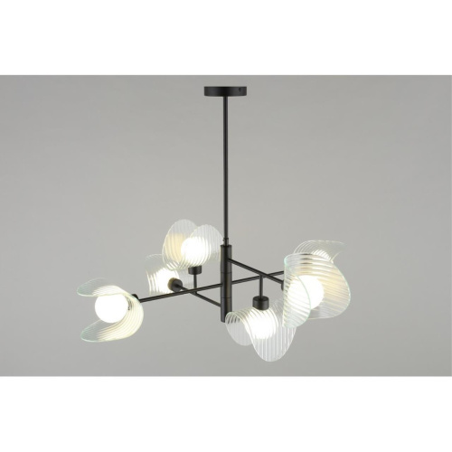 Люстра потолочная OML-52407-06 фото 6