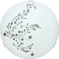 Потолочный светильник Arte Lamp ORNAMENT A3820PL-2CC