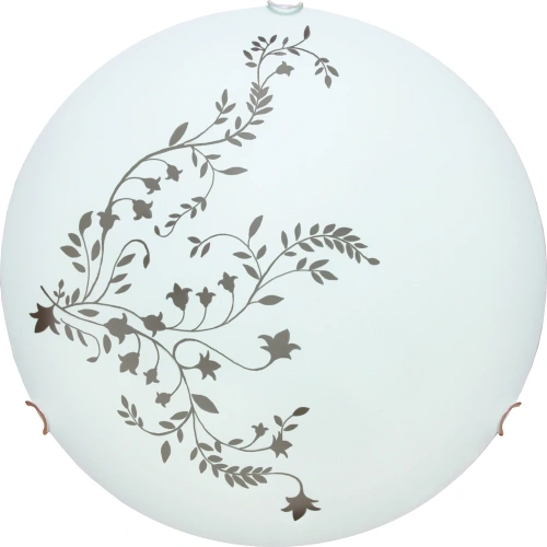 Потолочный светильник Arte Lamp ORNAMENT A3820PL-2CC Потолочный светильник Arte Lamp ORNAMENT A3820PL-2CC