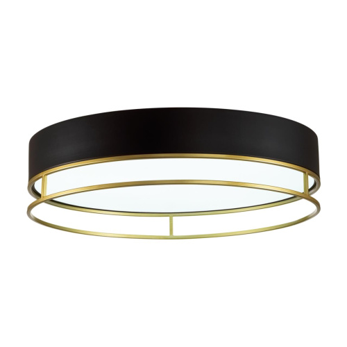 7723/100L AVRA LED SN 593 Светильник металл/пластик/белый/черный/золотой LED 100Вт 3000-6000K D600 IP20 пульт ДУ LOFTY фото 8