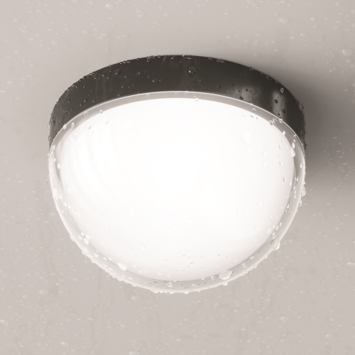 Уличный потолочный светильник Outdoor O438CL-L12GF3K фото 4