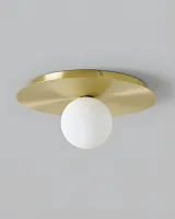 Золотистый настенно-потолочный светильник "Ноа"