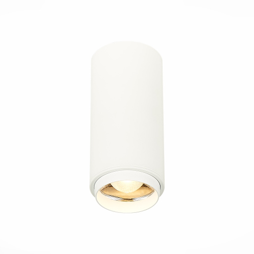 ST600.532.10 Светильник потолочный Zoom Белый LED 1*10W 3000K 1 000Lm Ra>80 15-60° IP20 D59xH130 170 Накладные светильники фото 5