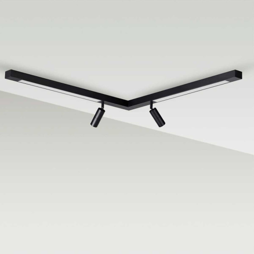 Потолочный светильник Lumion HAWK 5690/19CL Потолочный светильник Lumion HAWK 5690/19CL