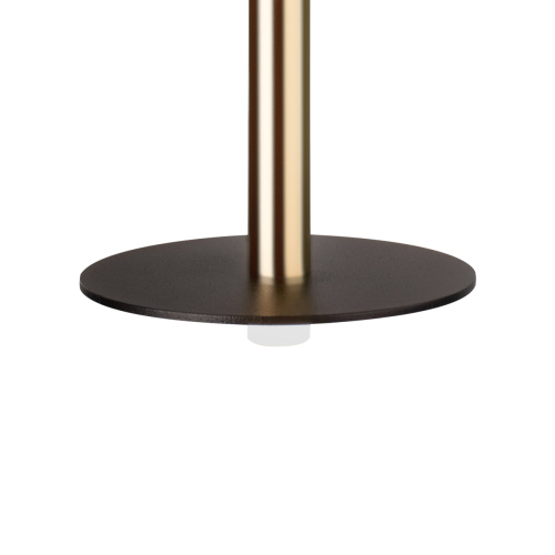 10358/830 Disk AB Подвесной светильник LOFT IT Reed фото 8