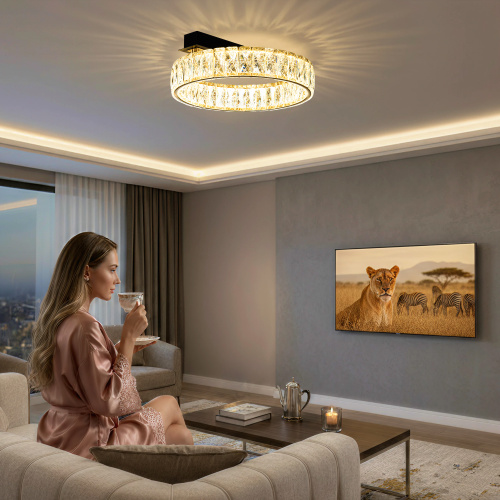 Citilux PALANT CL325142 LED Люстра хрустальная Чёрный+Бронза фото 13 Citilux PALANT CL325142 LED Люстра хрустальная Чёрный+Бронза фото 13
