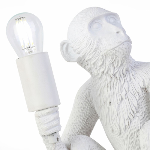 Прикроватная лампа Evoluce Tenato SLE115104-01 фото 3