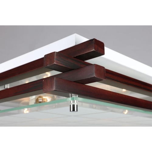 Светильник настенно-потолочный OML-40507-05 фото 2 Светильник настенно-потолочный OML-40507-05 фото 2