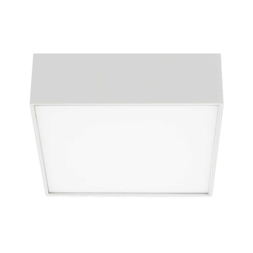 Потолочный светодиодный светильник Arlight IM-Quadro-Emergency-3H-S175x175-19W Day4000 040925 Потолочный светодиодный светильник Arlight IM-Quadro-Emergency-3H-S175x175-19W Day4000 040925