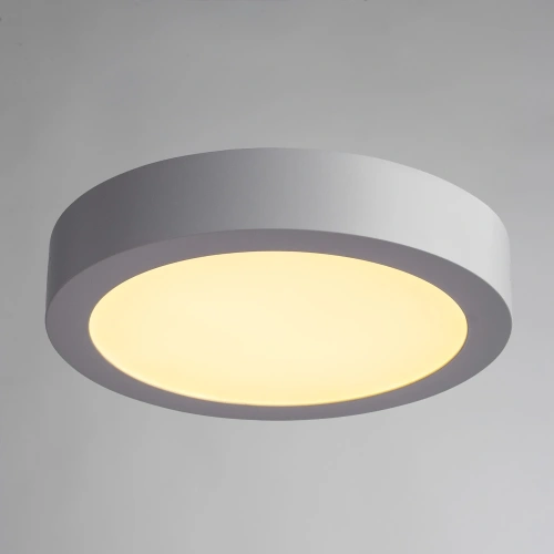 Потолочный светильник Arte Lamp ANGOLO A3018PL-1WH фото 2