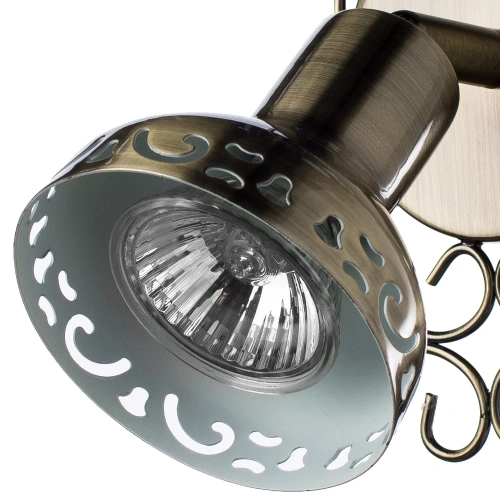 Спот Arte Lamp FOCUS A5219AP-1BR фото 3