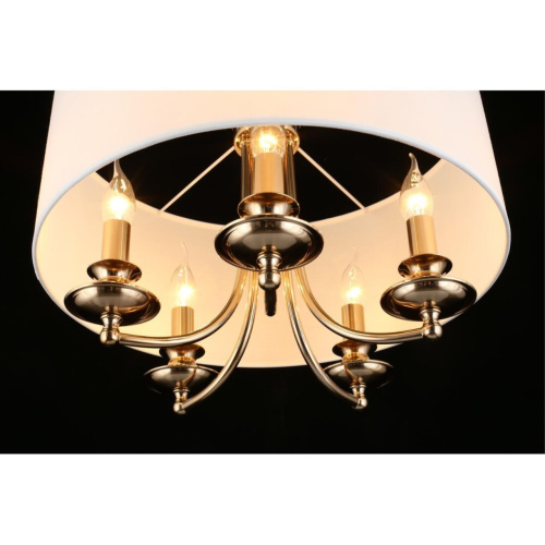 Светильник подвесной APL.721.06.05 фото 13 Светильник подвесной APL.721.06.05 фото 13