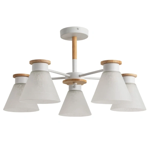 Потолочная люстра Arte Lamp TYLER A1031PL-5WH Потолочная люстра Arte Lamp TYLER A1031PL-5WH