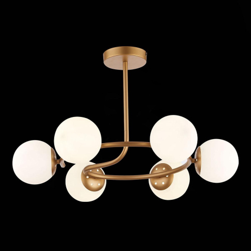 Потолочная люстра Evoluce Calabria SLE220602-06 фото 2