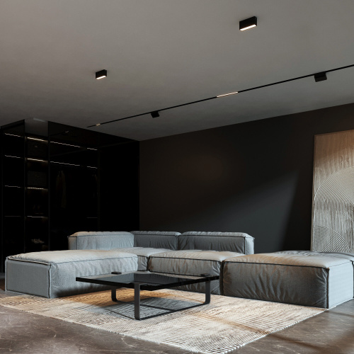 Светильник потолочный светодиодный 10W 3000K черный Block 25109/LED фото 2