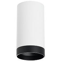 R4363437 Светильник RULLO HP16 (214436+203437)