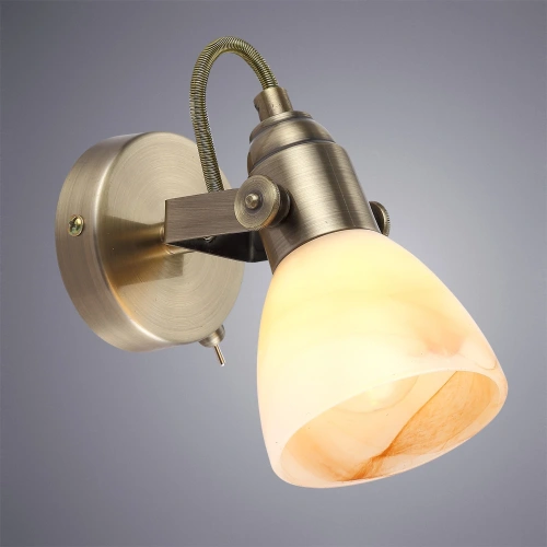 Спот Arte Lamp TULIP A9581AP-1AB фото 2 Спот Arte Lamp TULIP A9581AP-1AB фото 2