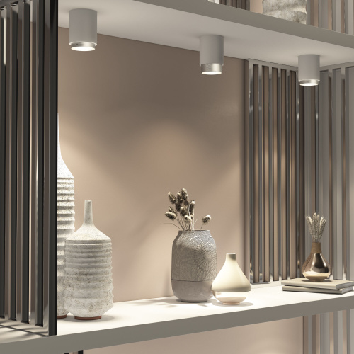 Потолочный светодиодный светильник Cors 25032/LED 10W 4200K белый/серебро фото 3