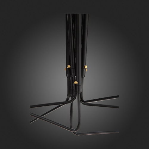 SL305.402.06 Люстра потолочная ST-Luce Черный/Черный, Белый E27 6*60W SPRUZZO фото 17