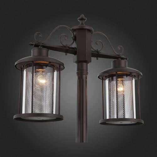 SL080.425.02 Светильник уличный наземный ST-Luce Темный кофе/Прозрачный, Темный кофе E27 2*100W LASTERO фото 9