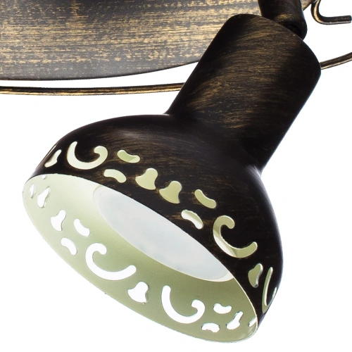 Спот Arte Lamp FOCUS A5219AP-2BR фото 3