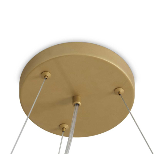 Подвесная люстра Freya Modern Bless FR5567PL-06G фото 9 Подвесная люстра Freya Modern Bless FR5567PL-06G фото 9