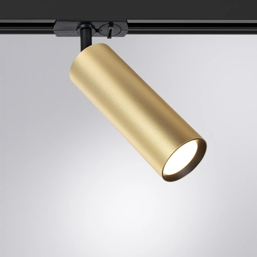Трековый светильник Arte Lamp BEID A1515PL-1SG фото 2