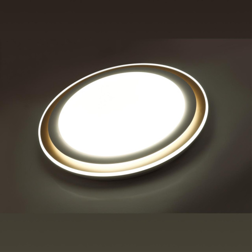 7630/EL PALE SN 000 Светильник пластик/белый/золотистый LED 72Вт с ДУ 3000-6300К D510 IP43 пульт ДУ SETTA фото 3 7630/EL PALE SN 000 Светильник пластик/белый/золотистый LED 72Вт с ДУ 3000-6300К D510 IP43 пульт ДУ SETTA фото 3