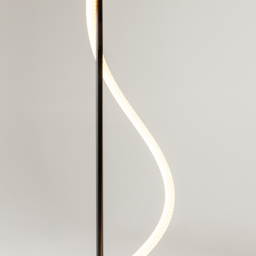 Напольный светильник (торшер) Maytoni MOD166FL-L15B3K фото 10