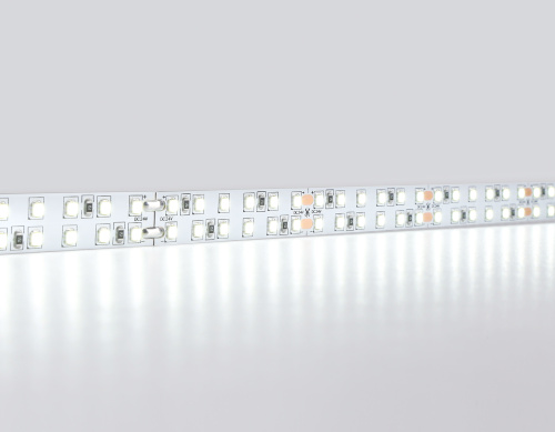 Светодиодная лента двухрядная 24В 2835 240Led 24Вт/м 6500K IP20 5м фото 2 Светодиодная лента двухрядная 24В 2835 240Led 24Вт/м 6500K IP20 5м фото 2
